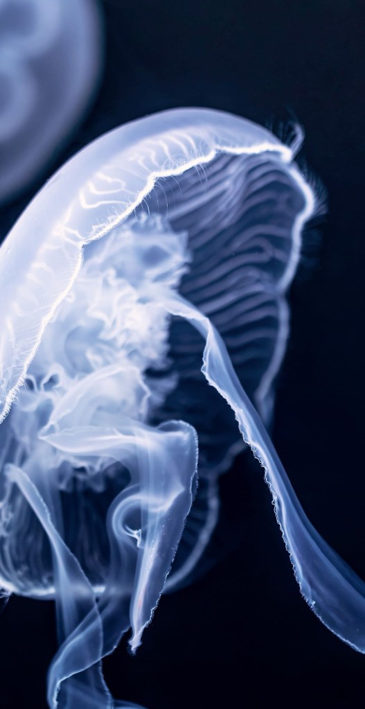 Life is Paper&nbsp;Thin